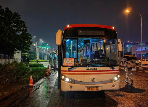 五一假期出行更便捷 上海闵行推出临时接驳线与夜间免费停车服务