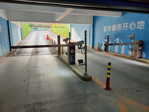 优质服务，智慧先行 武汉欢乐谷停车场数字化转型实践